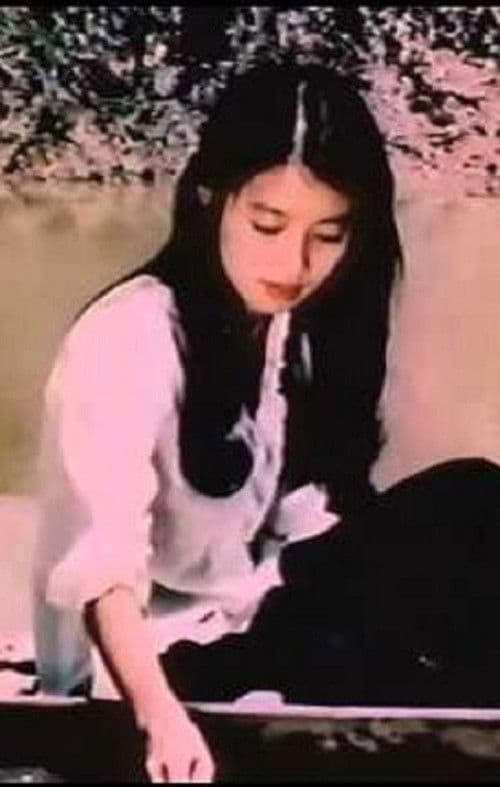 The Birds Sang in a Tranquil Place poster