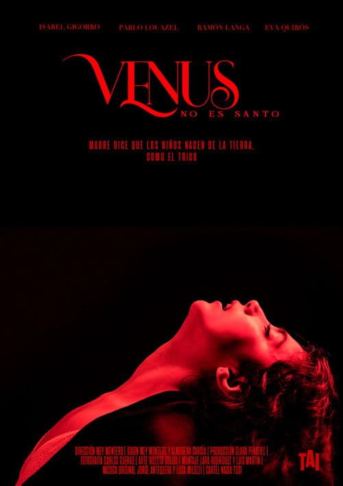 Venus no es Santo poster