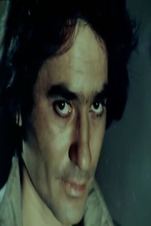 عبدالمنعم كامل profile photo