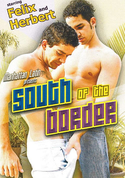 South Of The Border poster