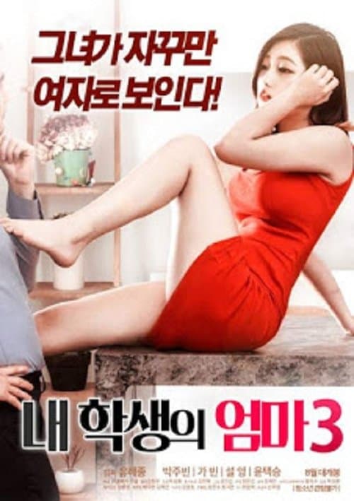 My Student's Mom 3 poster