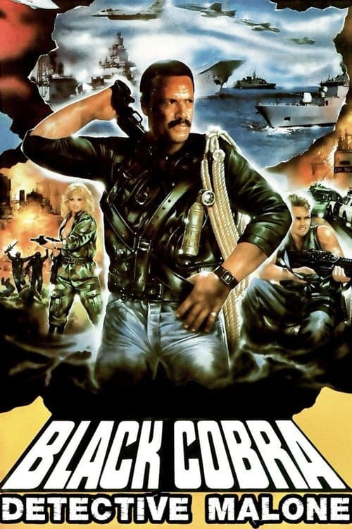 Detective Malone poster