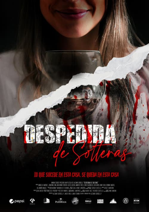 Despedida de solteras poster