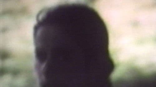 Uccelli di terra poster