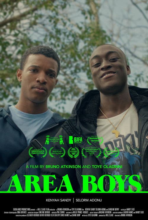 Area Boys poster