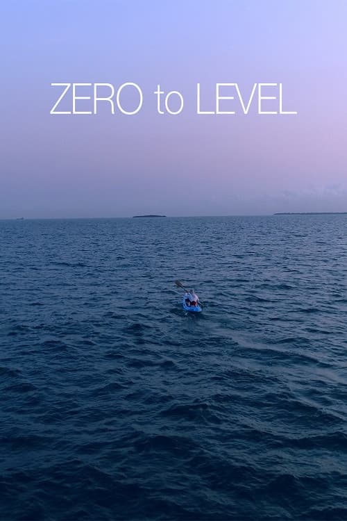 Zero to Level poster