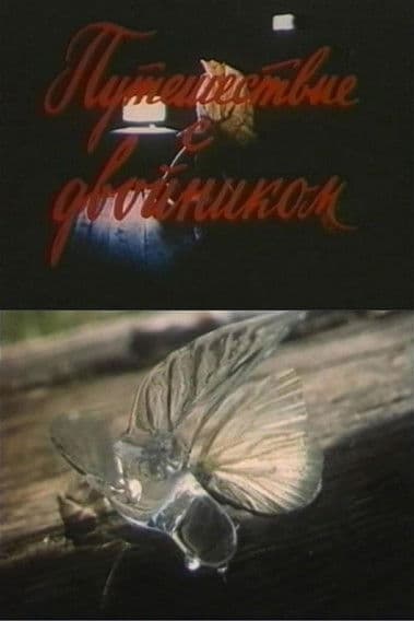 Traveling With a Double poster