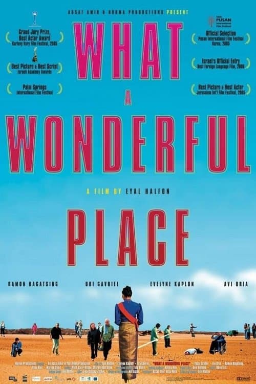 What a Wonderful Place poster