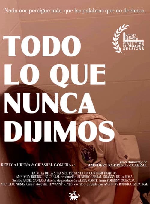 The Words We Never Said poster