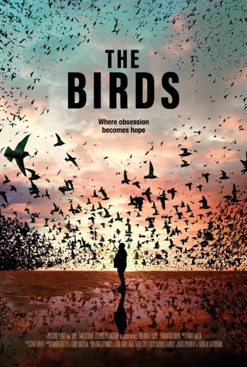 The Birds poster