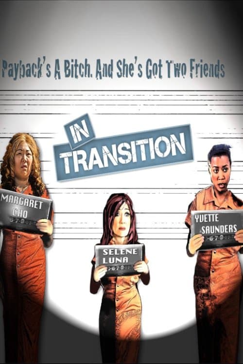 In Transition poster