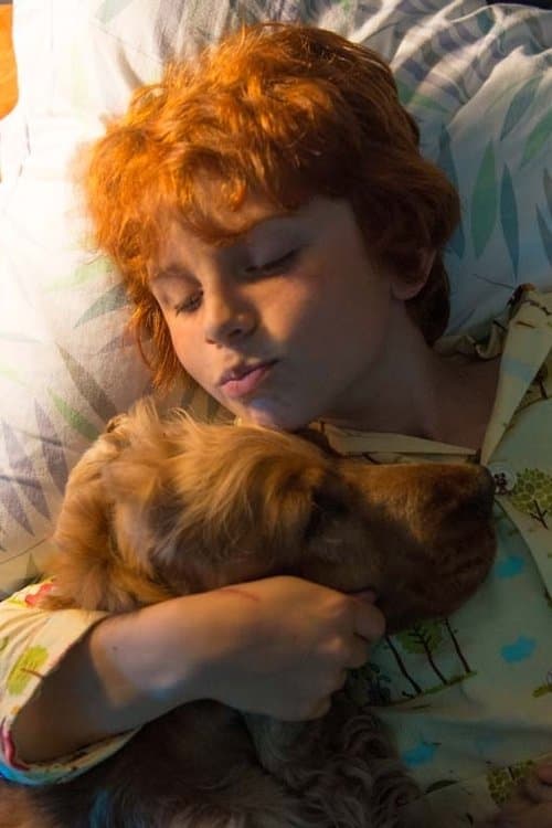 Charlie Langendries profile photo