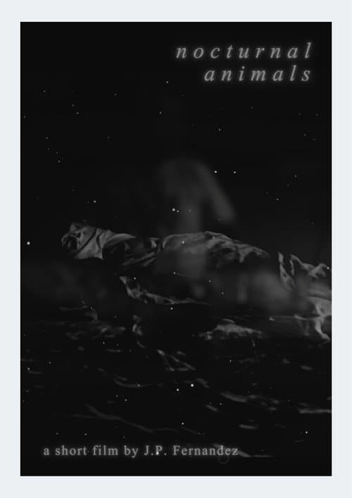 Nocturnal Animals poster