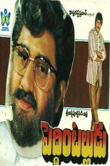 Peddinti Alludu poster