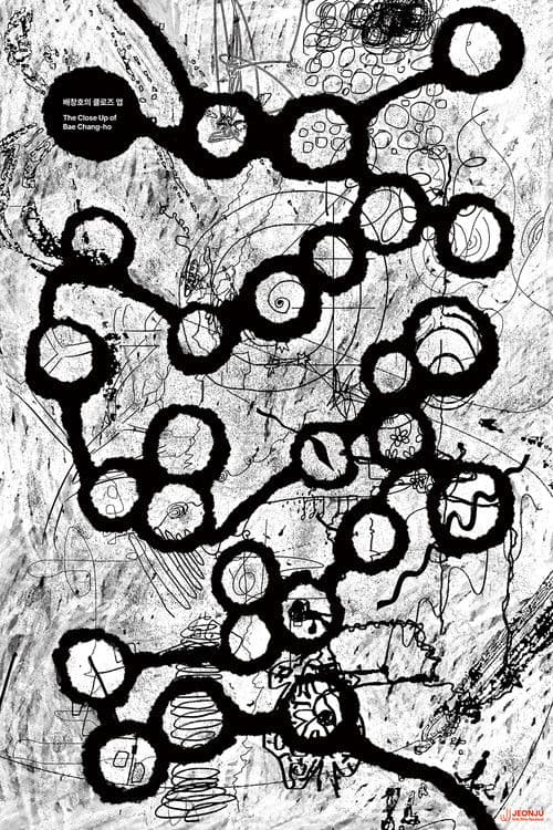 The Close Up of Bae Chang-ho poster