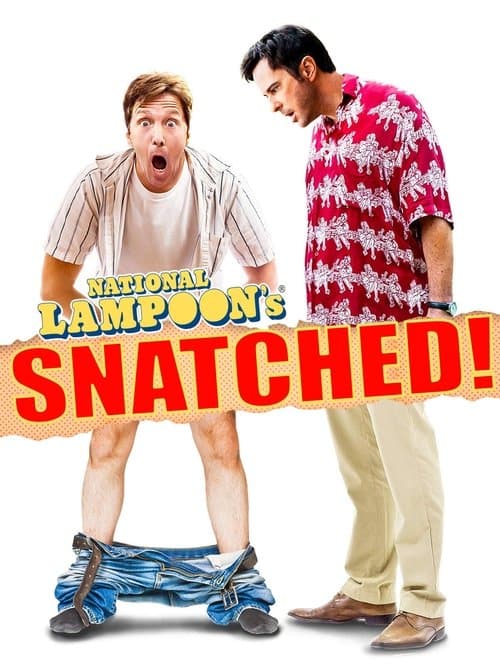 National Lampoon's Snatched poster