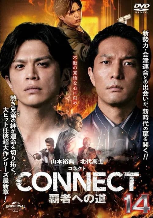 CONNECT: Road to Conquest 14 poster
