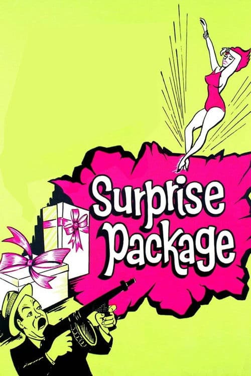 Surprise Package poster