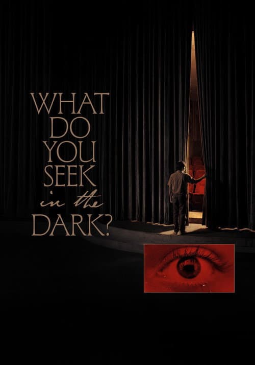 What Do You Seek in the Dark? poster