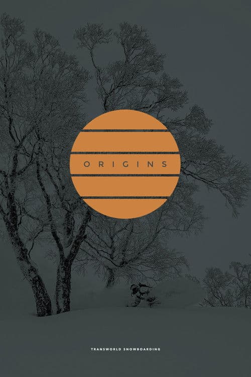 Origins poster