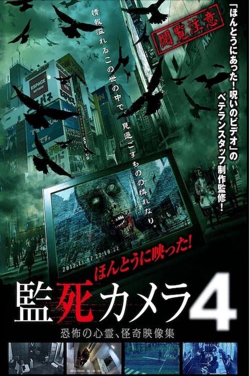 Paranormal Surveillance Camera 4 poster