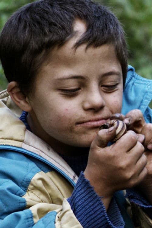 Temel Kara profile photo