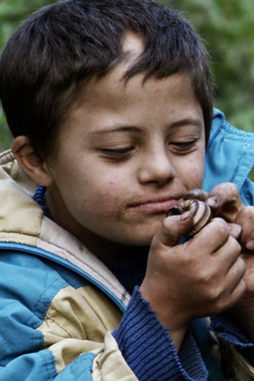 Temel Kara profile photo