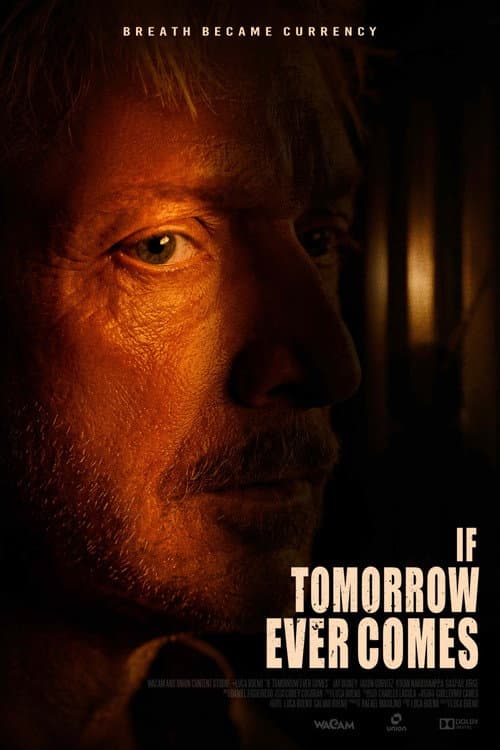 If Tomorrow Ever Comes poster