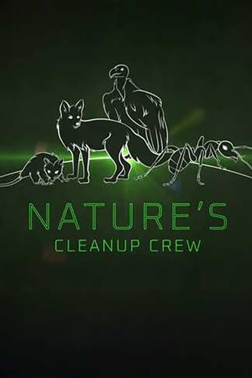 Clean Up Crew poster