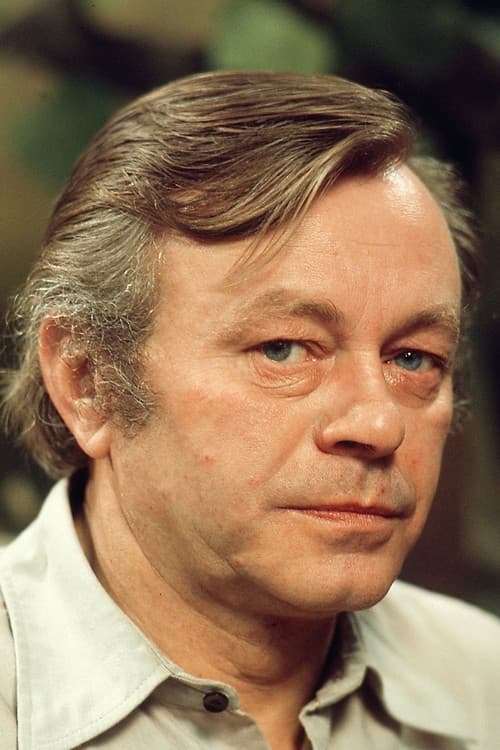 Heinz Fülfe profile photo