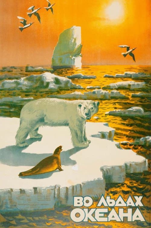 Life in the Arctic poster