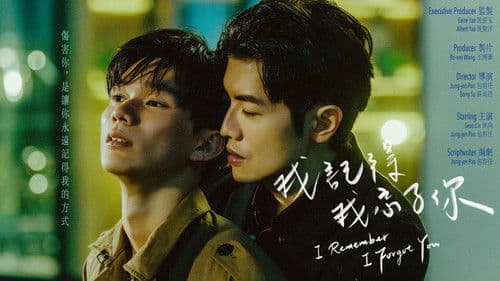 I Remember I Forgot You poster