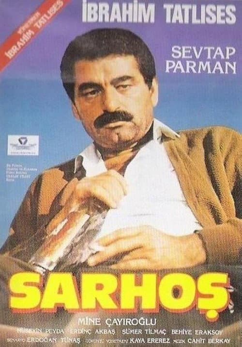 Sarhoş poster