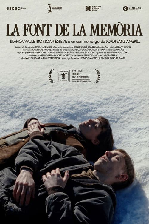 The Fountain of Memory poster