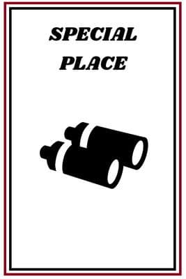 Special Place poster