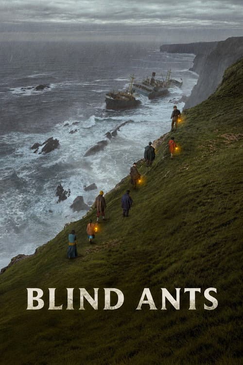 Blind Ants poster