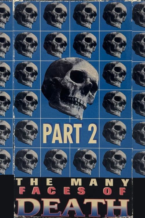 The Many Faces of Death, Part 2 poster
