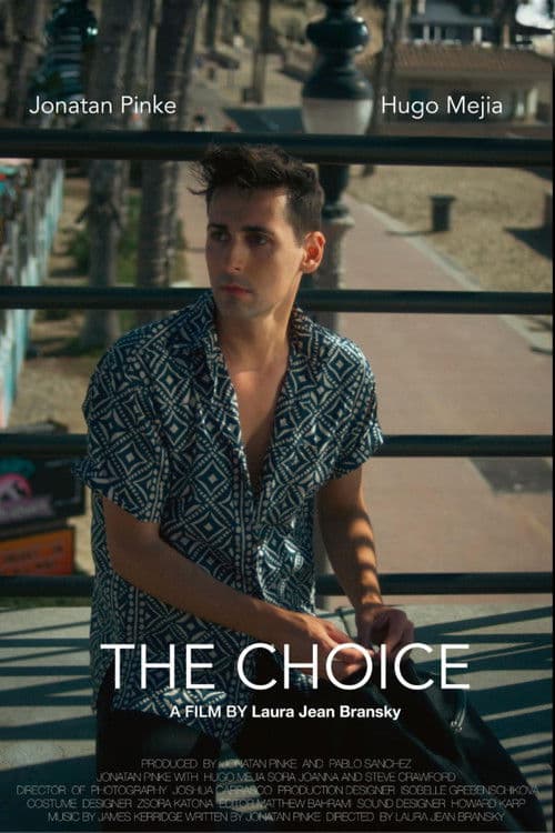 The Choice poster
