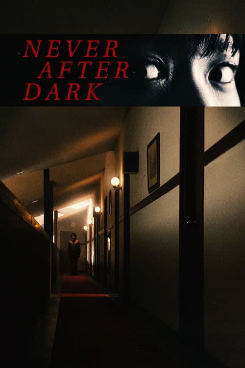 Never After Dark poster