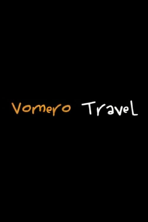 Vomero Travel poster