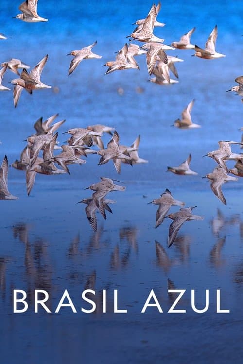 Blue Brazil poster