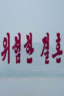 Dangerous Marriage poster