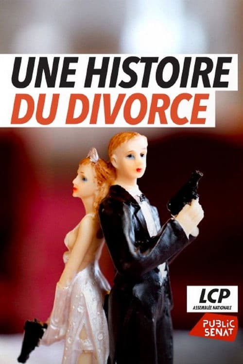 Une histoire du divorce poster