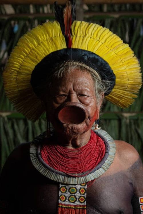 Raoni Metuktire profile photo