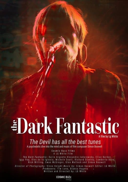 The Dark Fantastic poster