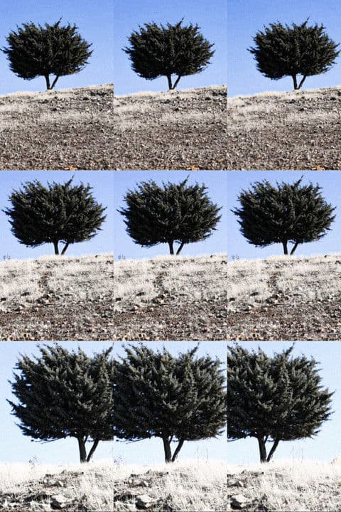 Where is the Final Destination? poster