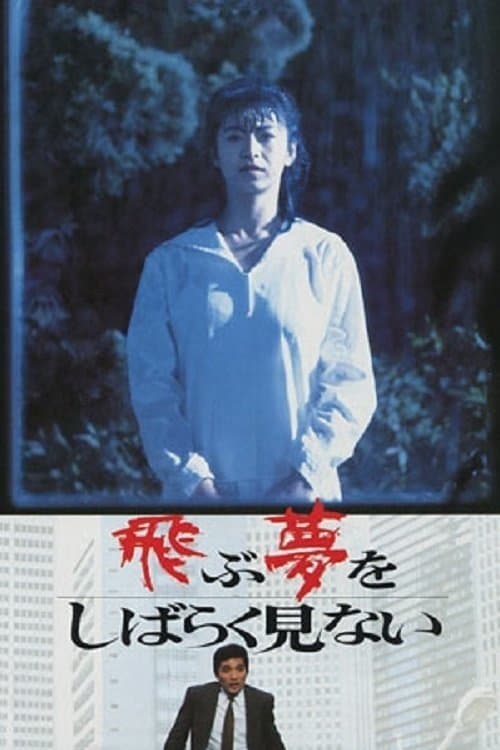 I Haven't Dreamed of Flying for a While poster