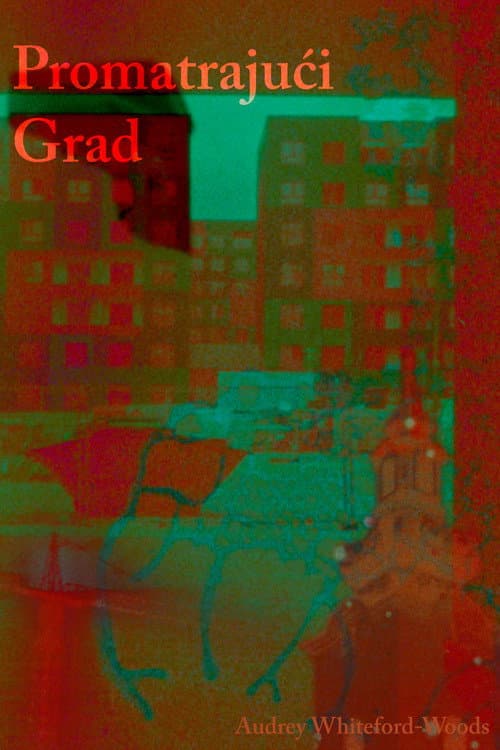 City in Observation poster