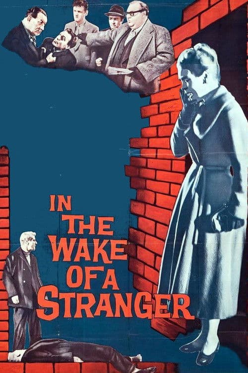 In the Wake of a Stranger poster