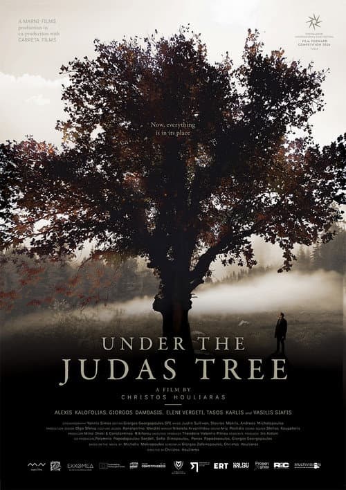 Under the Judas Tree poster